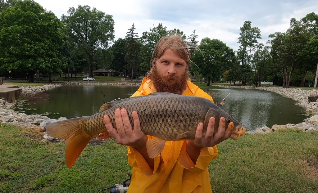 Carp fishing techniques